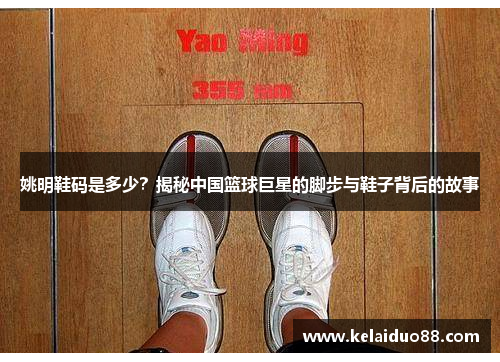 姚明鞋码是多少？揭秘中国篮球巨星的脚步与鞋子背后的故事