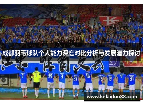成都羽毛球队个人能力深度对比分析与发展潜力探讨